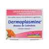 Dermoplasmine Calendula Mousse 20g