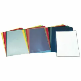 Organiser Folder Esselte Transparent Sheet