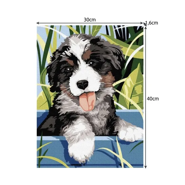 Gleznošana pēc skaitļiem 40x30cm - suns Maaleo 22780