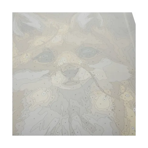 Tapyba pagal skaičius 40x50cm - Maaleo lapė 22782