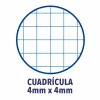 Užrašų knygelė Oxford Spalvotas Lapas 80 Paklodės 21,5 x 31,5 cm 5 Dalys