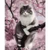 Painting by numbers 40x50cm- Maaleo cat 22783