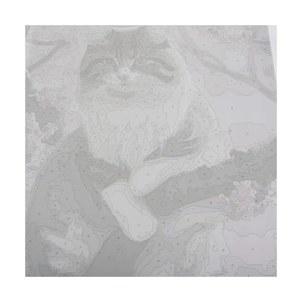 Maalaus numeroilla 40x50cm - Maaleo kissa 22783