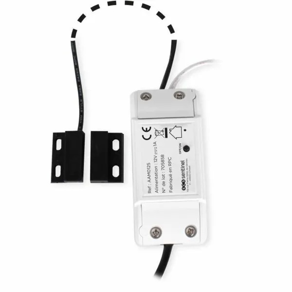 Imtuvo modulis SCS SENTINEL WifiGate