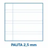 Записная книга на пружине Papyrus 01-UNICLASIC Лист 80 Листья (10 штук)