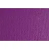 Картонная бумага Sadipal LR Фиолетовый 50 x 70 cm (20 штук)