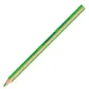 Fluorescējošs Marķieris Staedtler Textsurfer Dry Zaļš (12 gb.)
