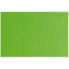 Card Sadipal LR 200 Texturised Light Green 50 x 70 cm (20 Units)