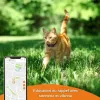 Lokalizatorius nuo praradimo Weenect Weenect XS GPS Juoda