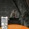 Lokalizatorius nuo praradimo Weenect Weenect XS GPS Juoda