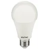 LED Globe E27 8W WW