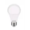 LED Globe E27 10W WW