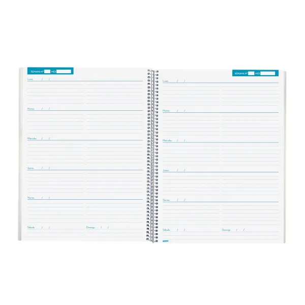 Diary Finocam Blue 23 x 31 cm Teaching