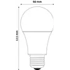 LED Globe E27 12W CW