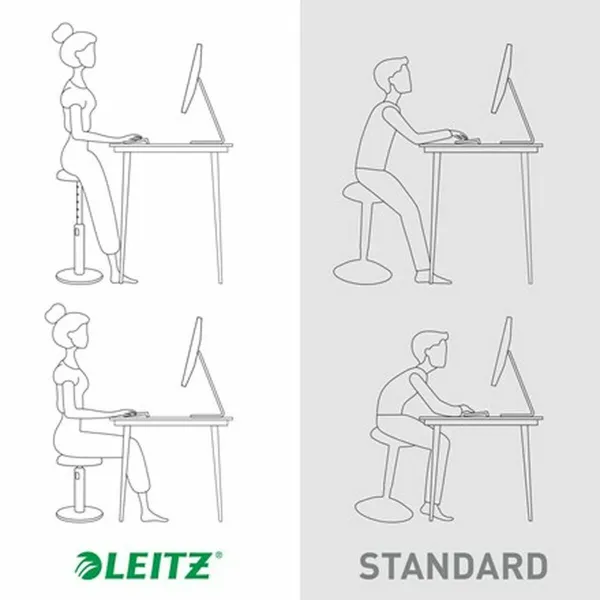 Ergonomiška kėdė Leitz Ergo Cosy Active Plastmasinis