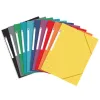 Папка Oxford TOP FILE Разноцветный A4+ 10 Предметы (10 штук)