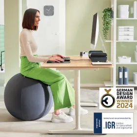 Puhallettava istuin Leitz [“Ergo Active”] Tumman harmaa