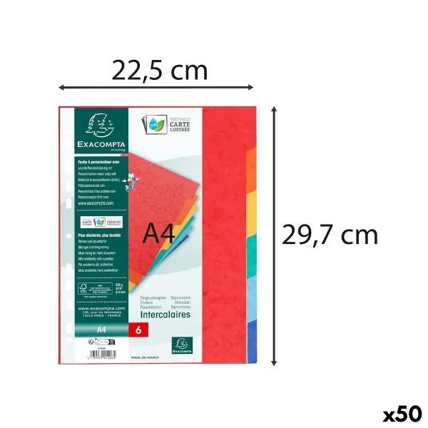 Eraldajad Exacompta NATURE FUTURE Mitmevärviline A4 (50 Ühikut)