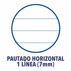 Sun Blind Strip Foliatec FO16092 76 x 300 cm Black