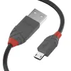 USB-kaabel LINDY Must 2 m
