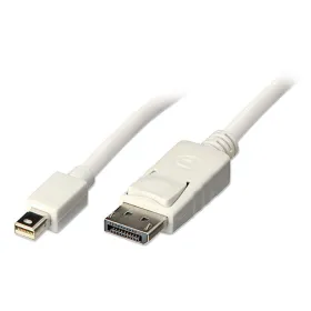 Adapteris iš Mini Display prievado į DisplayPort LINDY 5 m