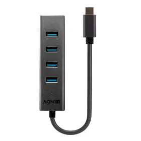 USB Centrmezgls LINDY 43325 Pelēks