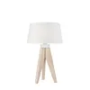 LN-1.98 AIDA 1-light wooden night lamp