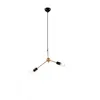 LM-2.118 ALESSIA 2-light loft hanging lamp