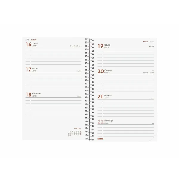 Расписание Finocam YEAR Красный 11,7 x 18,1 cm 2026