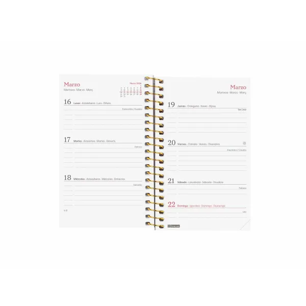 Dienoraštis Finocam DESIGN COLLECTION Goldy Mini 7,9 x 12,7 cm 2026