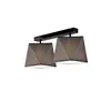 LM-2.86/A CARLA 2-light ceiling lamp