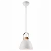 LM-1.80 DANIELLE 1-light pendant lamp