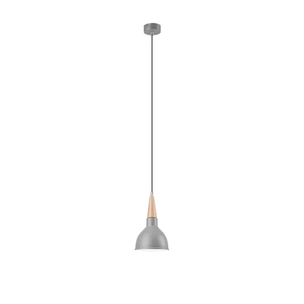 LM-1.106 FRANCESCA 1-light pendant lamp