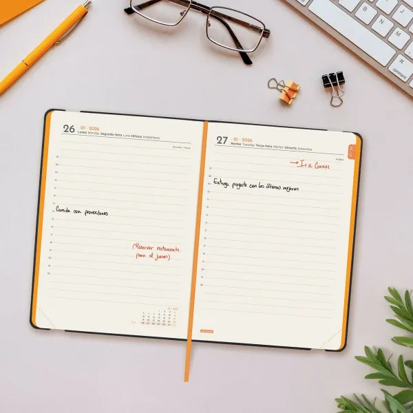 Diary Finocam FLEXI Blue 11,8 x 16,8 cm 2026