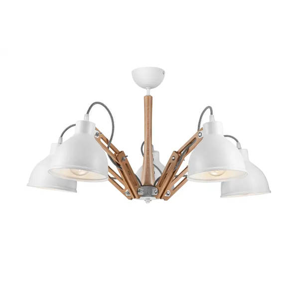 LM-5.96 MARCELLO 5-light loft ceiling lamp