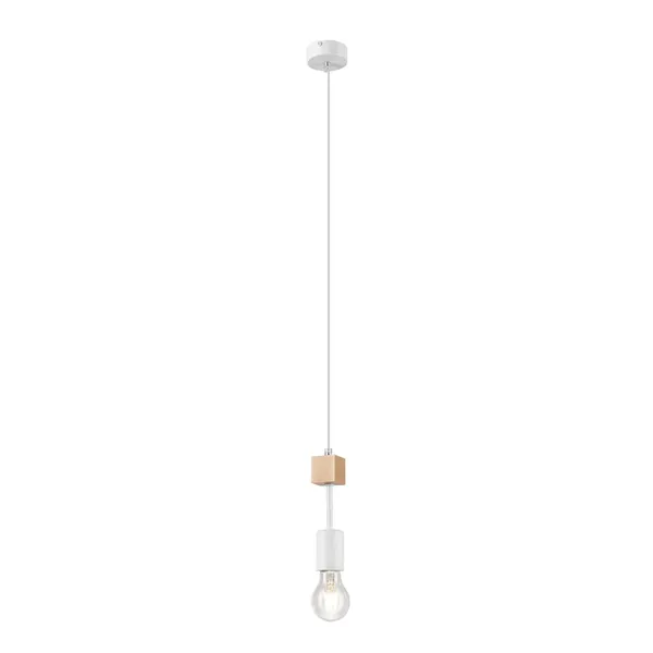 LM-1.85 LUBIO 1-light loft hanging lamp