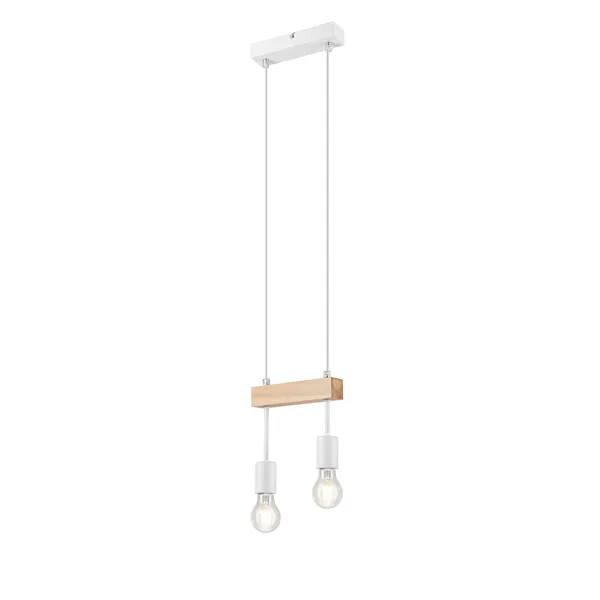 LM-2.85 LUBIO 2-light loft hanging lamp