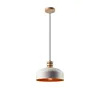 LM-1.M.1 COSMO 1-light hanging lamp