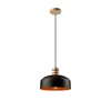 LM-1.M.1 COSMO 1-light hanging lamp