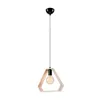 LM-1.4.3 OLLE 1-light loft hanging lamp