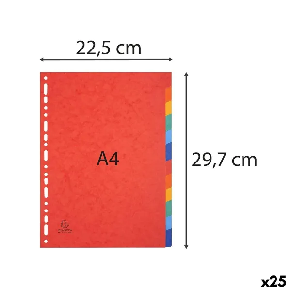 Разделители Exacompta A4 Разноцветный (25 штук) (12 штук)