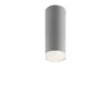 LM-1.115/A FELIX 1-light spot ceiling lamp