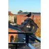 Кормушка для птиц Maaleo 22585