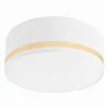 LM-2.202 GLORIA 2-light ceiling lamp with lampshade, white