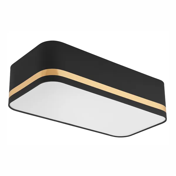 LM-2.113 GILLIAN ceiling lamp with a 2-light lampshade, black with a gold stripe