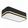 LM-2.113 GILLIAN ceiling lamp with a 2-light lampshade, black with a gold stripe