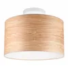 LM-1.1.95/A PRINT 1-light pendant lamp with a printed lampshade