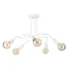 LM-5.251 DOMINO 5-light ceiling lamp