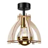 LM-1.229 LANDO 1-light ceiling lamp