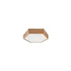 LD.PD-5.2 LED HEX LED hexagonal 2-light wooden ceiling lamp